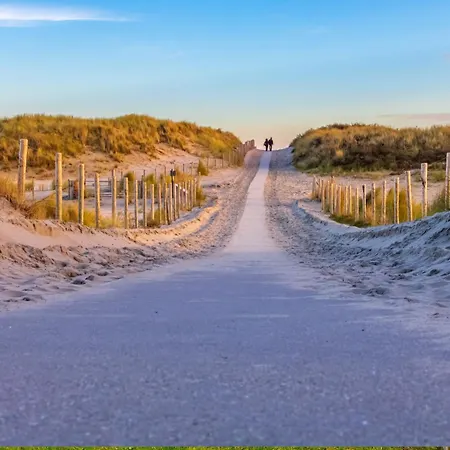 Guja - Aan Zee Callantsoog