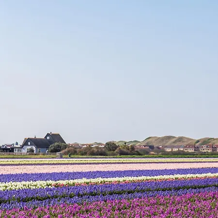 Guja - Aan Zee Casa vacanze *