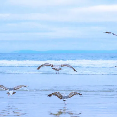 Σπίτι διακοπών Guja - Aan Zee